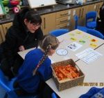 phonics 4