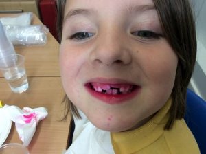 IMG 16481 1